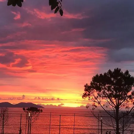 Sea And Palms 아파트 *